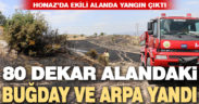 Honaz’da çıkan yangında 80 dekar alandaki ekinler yandı