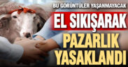Hayvan pazarında el sıkışarak pazarlık yasaklandı