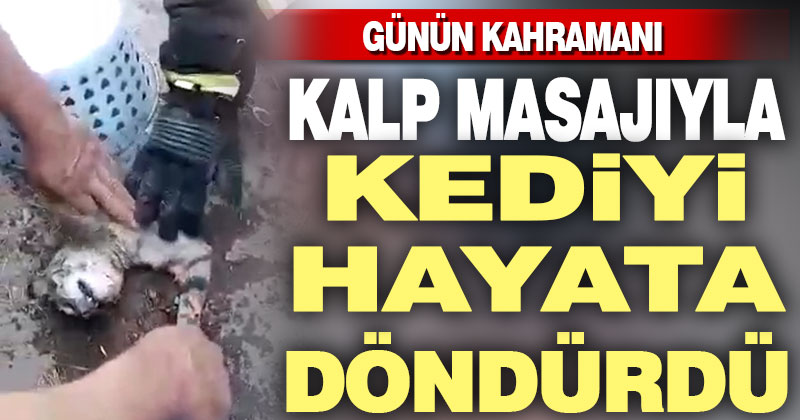İtfaiye eri, kediyi kalp masajıyla hayata döndürdü