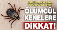 Denizli İl Tarım ve Orman Müdürlüğü’nden kene uyarısı