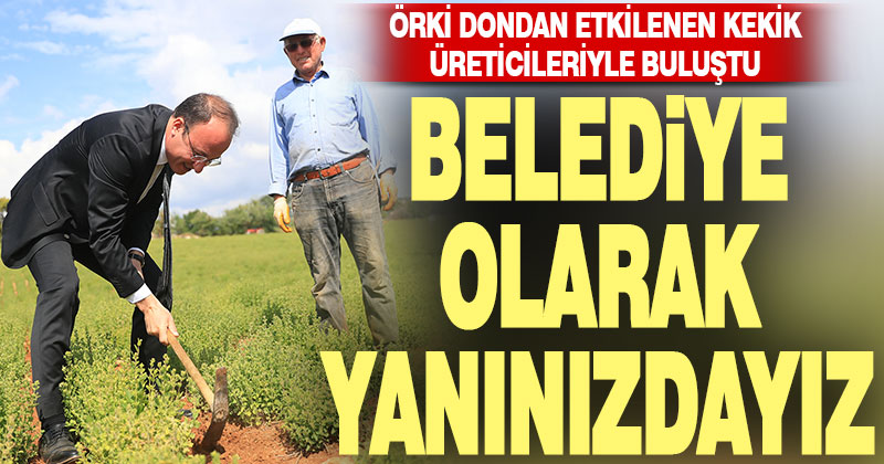 Başkan Örki dondan etkilenen kekik üreticileriyle buluştu