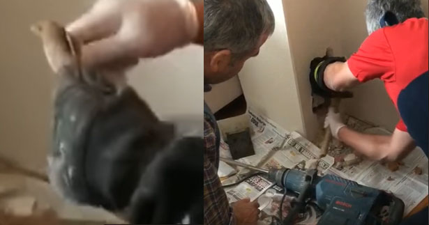 Baca duvarında mahsur kalan serçeyi itfaiye kurtardı