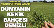 Denizli Dünya’nın kekik bahçesi