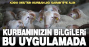 Kurban bilgilerini ‘haysag’ uygulaması ile öğrenin