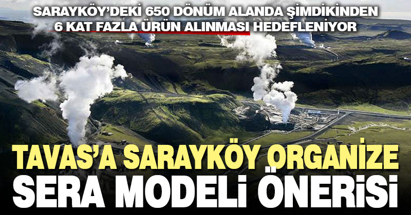 Tavas’a Sarayköy’deki organize sera bölgesi yatırım modeli önerisi