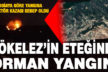 Gözler-Cindere arasındaki ormanlık alanda yangın