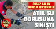 Babadağ’da atık su borusuna sıkışan oluklu kertenkele kurtarıldı