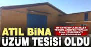 Seçim dönemi tekstil atölyesi yapılan bina üzüm tesisi oluyor