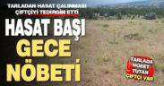 Hasatlık ürünlerin çalınması çiftçiyi tedirgin etti, nöbet tutan var