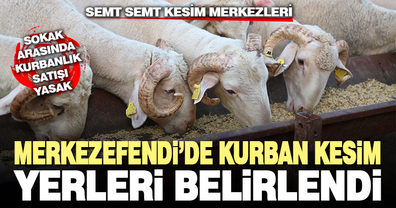 Merkezefendi’de kurbanlık satışı şartları ve kesim yerleri belirlendi