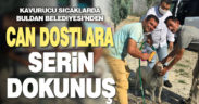 Buldan Belediyesi’nden kavurucu sıcaklarda can dostlara serin dokunuş