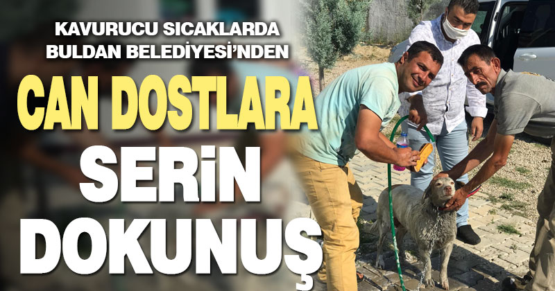 Buldan Belediyesi’nden kavurucu sıcaklarda can dostlara serin dokunuş