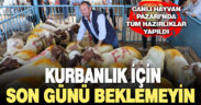 Kurbanlık için son günü beklemeyin