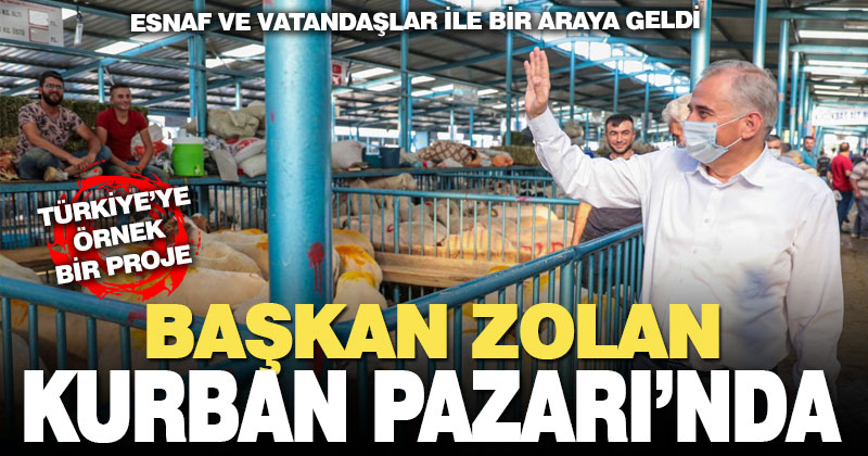 Başkan Zolan canlı hayvan pazarını ziyaret etti