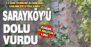 Sarayköy’ü dolu vurdu, zarar 25 milyon lira