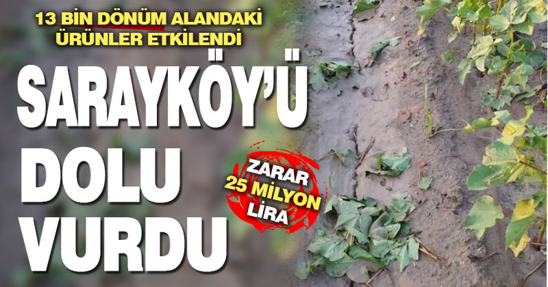 Sarayköy’ü dolu vurdu, zarar 25 milyon lira