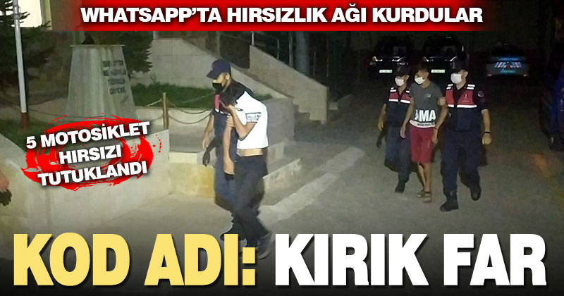 WhatsApp hırsızlık ağı kuran 5 zanlı tutuklandı