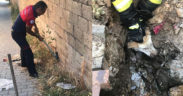 İtfaiyeden köpek kurtarma operasyonu
