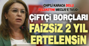 CHP’li Karaca dolu felaketini Meclis’e taşıdı