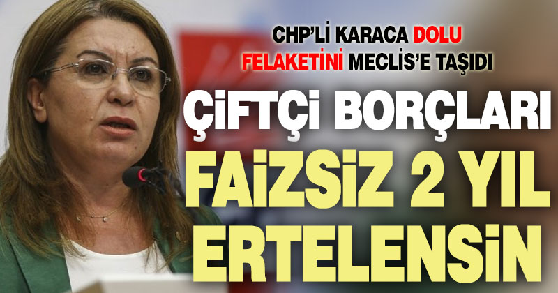 CHP’li Karaca dolu felaketini Meclis’e taşıdı