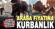 Araba fiyatına kurbanlık