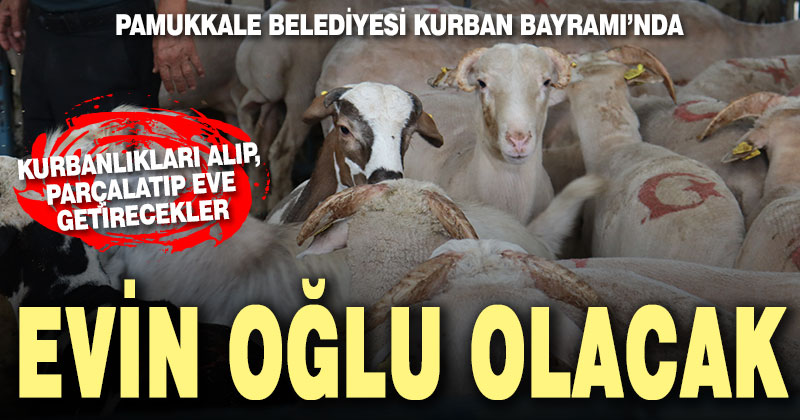 Pamukkale Belediyesi Kurban Bayramı’nda evin oğlu olacak