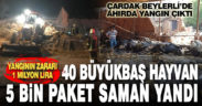 Yangında 40 büyükbaş hayvan telef oldu