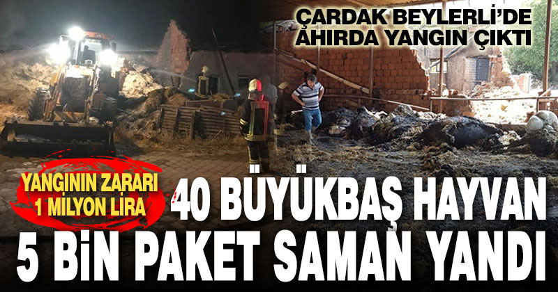 Yangında 40 büyükbaş hayvan telef oldu