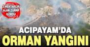 Acıpayam’da orman yangını