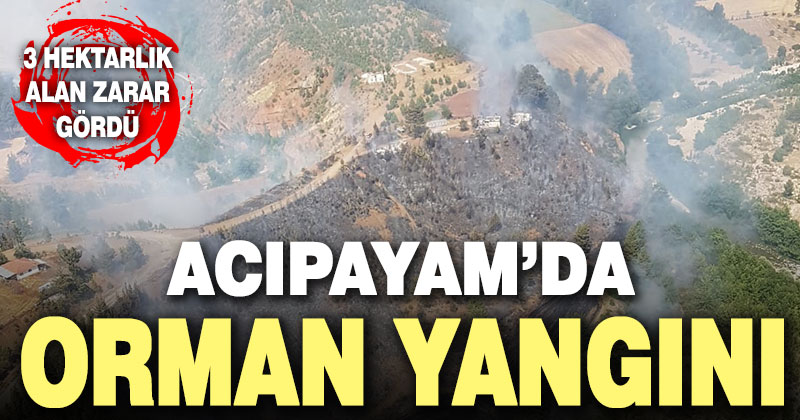 Acıpayam’da orman yangını