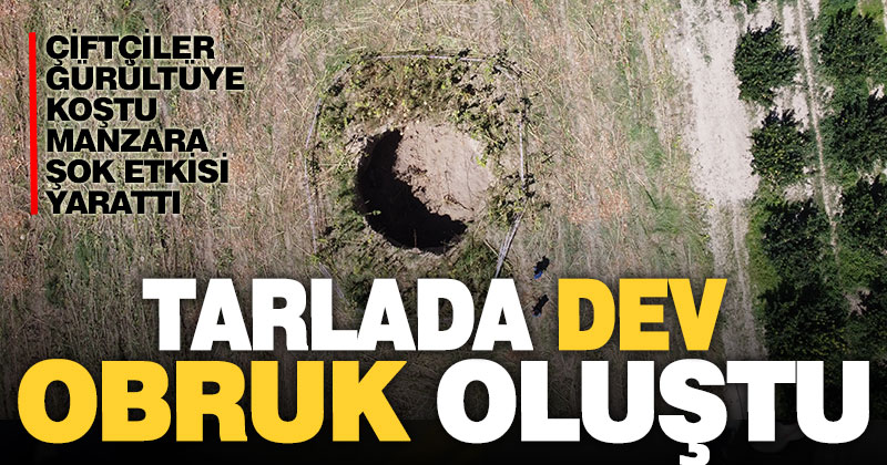Çivril’de ay çekirdeği tarlasında obruk oluştu