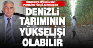 Denizli Merkez Ziraat Odası Başkanı Hamdi Gemici: Jeotermal, yükselişimiz olabilir