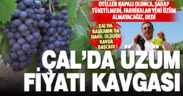 Çal’da üzüm fiyatı kavgası yaşanıyor
