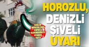 Sağlık Müdürlüğü’nden cam horoz heykeli ile koronavirüs uyarısı