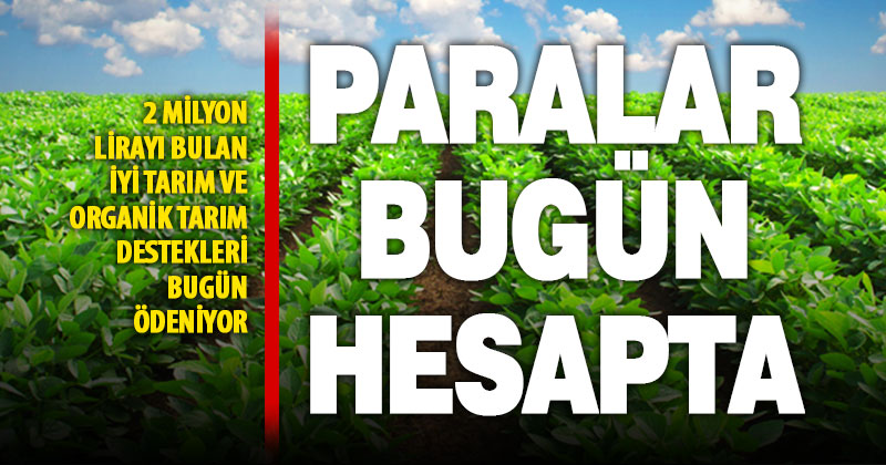 Ak Parti Milletvekili Tin: İyi Tarım ve organik tarım destek ödemeleri bugün yapılıyor