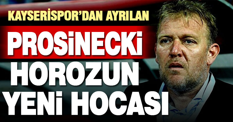 Denizlispor, teknik direktörlüğe Robert Prosinecki’yi getirdi