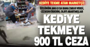 Denizli’de sokak kedisini tekmeleyen kişiye 900 lira ceza kesildi
