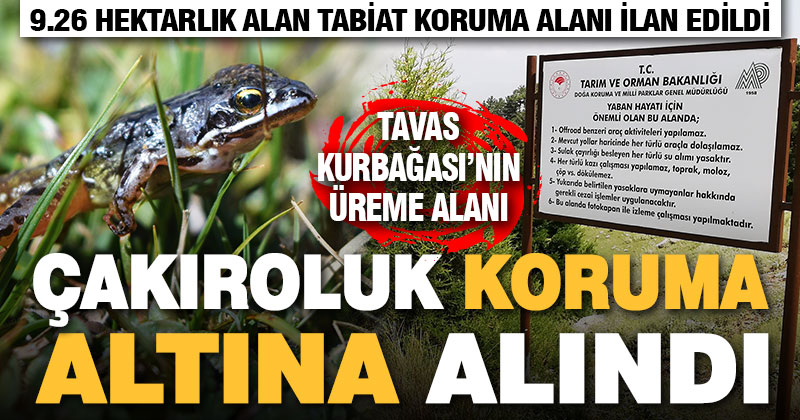 Çakıroluk koruma altına alındı
