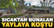 Sıcakta bunalanların adresi: Kefe Yaylası