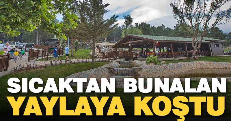 Sıcakta bunalanların adresi: Kefe Yaylası