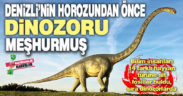Denizli’de dinozorların yaşam izleri aranıyor