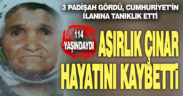 Tavaslı asırlık çınar 114 yaşında hayatını kaybetti