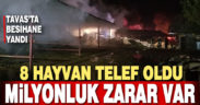 Tavas’ta besihane yandı, 8 hayvan telef oldu