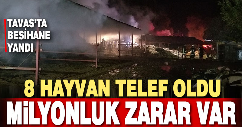 Tavas’ta besihane yandı, 8 hayvan telef oldu