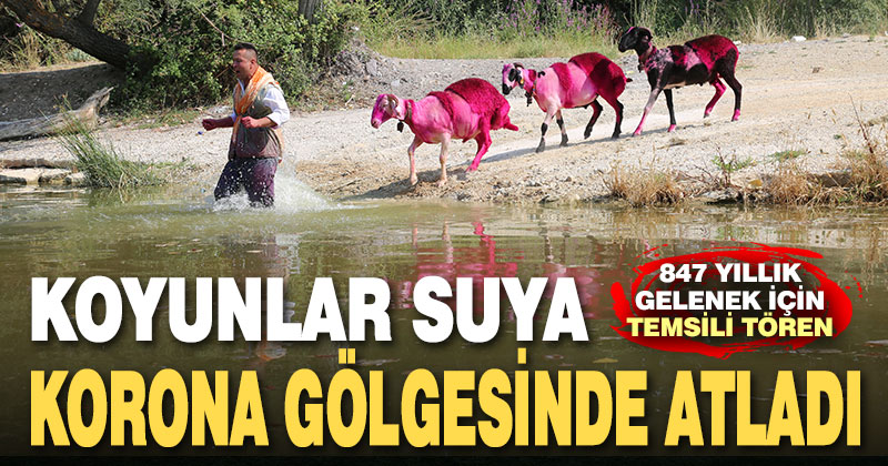 Çal’da “847. Sudan Koyun Geçirme Yarışması” temsili olarak yapıldı