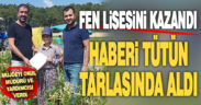 Fen lisesini kazandığını tütün tarlasında öğrendi