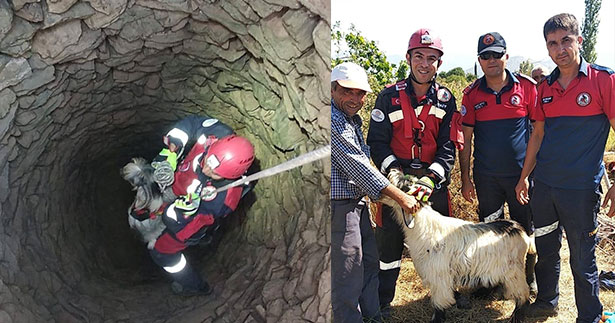 Kuyuya düşen keçiyi itfaiye kurtardı