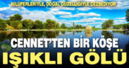 Nilüferleriyle ünlü Işıklı Gölü doğal güzellikleriyle cezbediyor
