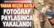 Yaban keçisi öldüren kaçak avcıya ceza