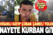 Gölhisarlı kayıp çobanın cenazesi Çameli yolunda aracın içinde bulundu